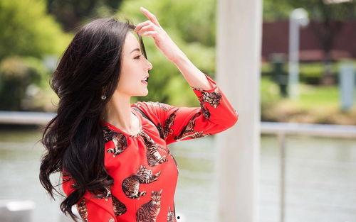 明星网红张柏芝简介,从影视明星到网红，多面人生精彩纷呈