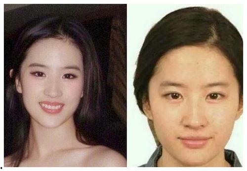 明星网红张柏芝简介,从影视明星到网红，多面人生精彩纷呈