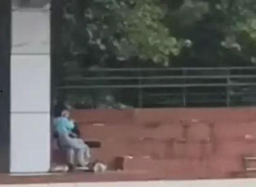 黑交院事件吃瓜视频,揭秘网络热议的吃瓜视频背后真相
