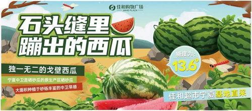 今日吃瓜91cg热门大瓜,吃瓜91cg热门大瓜揭秘