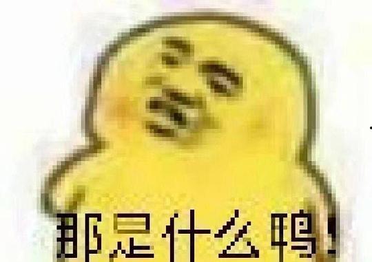 今日份吃瓜表情包,吃瓜表情包带你领略网络潮流