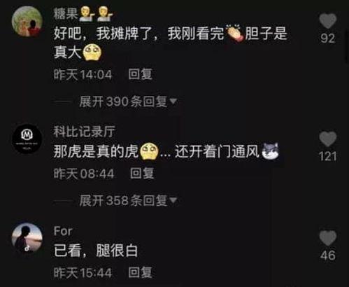 厦门热门吃瓜事件视频播放,视频播放量爆表，网友热议不断