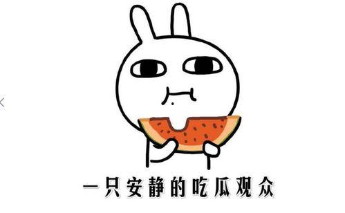 抖音热门事件吃瓜网站,吃瓜网站带你一探究竟