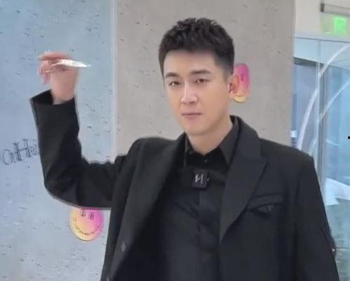 明星网红路人视角,明星网红与路人视角下的时尚碰撞