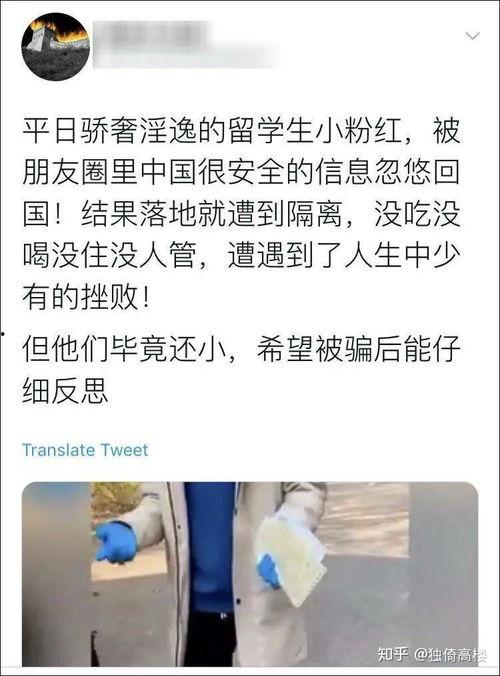 河北今日吃瓜事件始末,从热议到真相大白