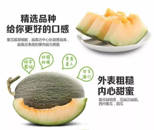 黑蜜瓜不能和什么吃,这些搭配要避免
