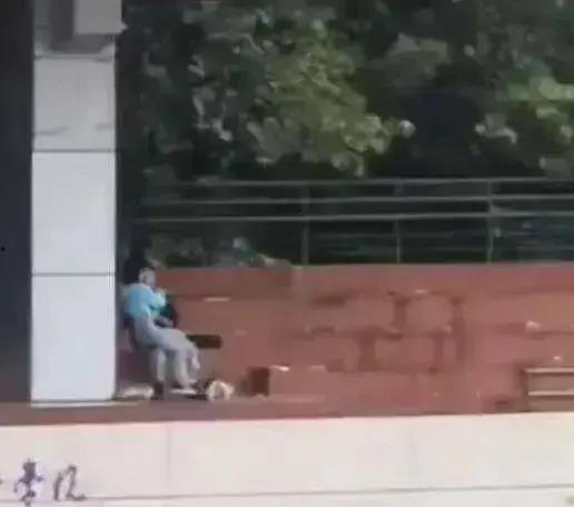 西安今日吃瓜事件视频,一场网络热议的街头冲突瞬间