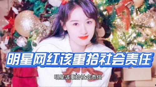 明星网红社会责任,引领时代风尚的公益力量