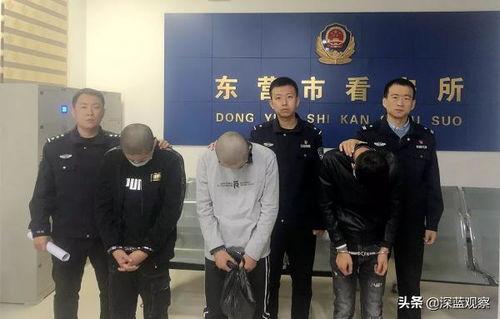 冒充明星网红诈骗,揭秘冒充明星网红的新型诈骗手段