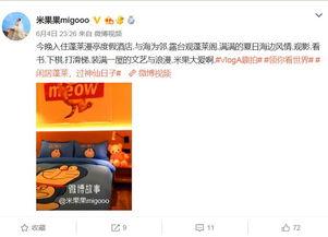 明星网红达人授权,揭秘幕后故事与成功秘诀