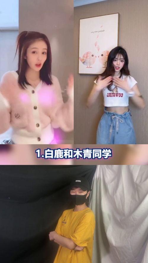 明星网红跳舞对比,舞蹈界的跨界对决
