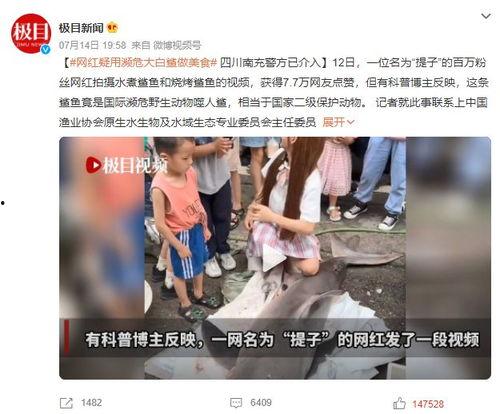 潮汕热门吃瓜事件视频播放,视频播放量爆表，揭秘当地热门话题
