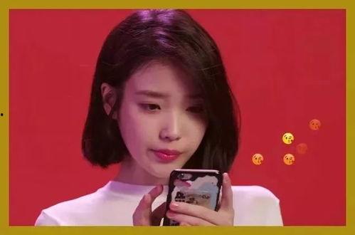 同担明星网红,共筑璀璨星途