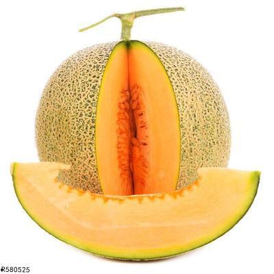 黑狼可以吃哈密瓜,揭秘哈密瓜的神秘魅力