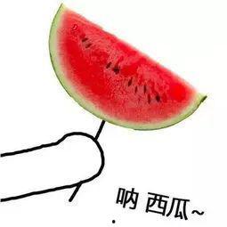今日吃瓜吃人图片大全集,图片大全集揭秘娱乐圈风云变幻