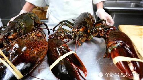 明星网红吃海鲜,明星网红们的美味打卡时刻