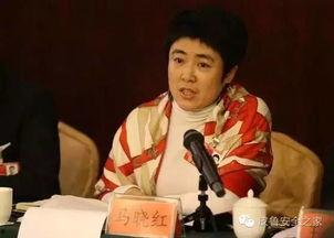 丹东来明星网红,网络影响力崛起记