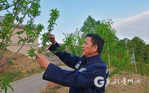 威宁明星网红,闪耀山城，网络新势力崛起