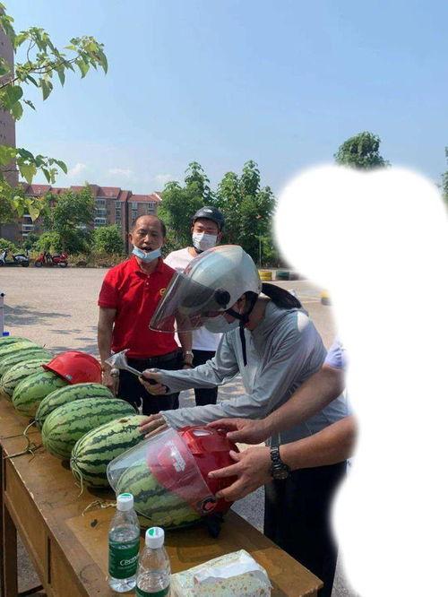 杭州今日吃瓜事件最新,揭秘网络热议背后的真相与争议