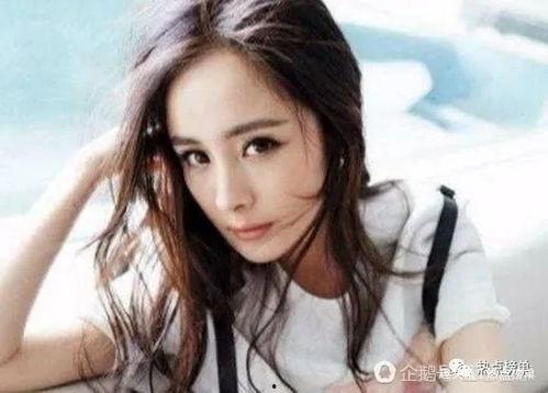 明星网红身价排行,揭秘网络红人财富新势力