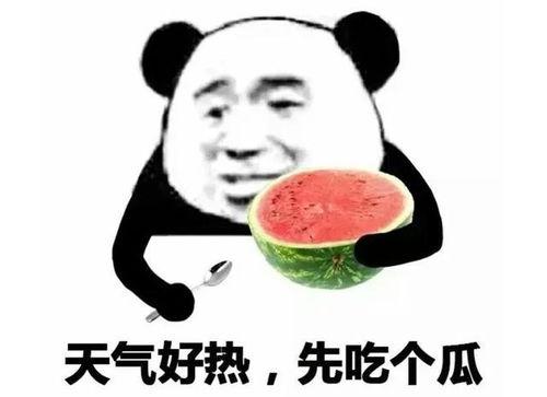 吃瓜热门口号大全霸气,揭秘热门口号背后的风云变幻