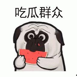 吃瓜热门口号大全霸气,揭秘热门口号背后的风云变幻