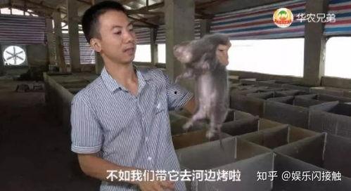 吃瓜背后黑产案例视频,黑产产业链的暗流涌动