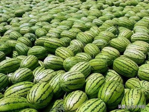 51吃瓜黑料大瓜成人今日入口,今日成人世界入口揭秘