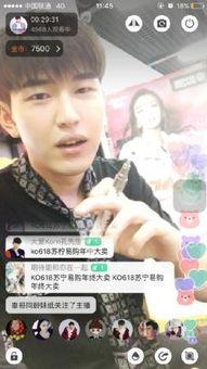 明星网红店下载,明星网红店深度解析