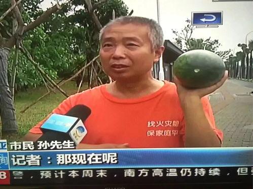 24年吃瓜各种热门事件,热点事件大盘点