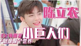 明星网红摆摊图片,街头经济新风尚