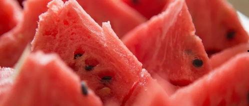 黑壳虾会吃瓜吗,探究它们是否食用瓜类