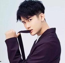 铁岭的明星网红,揭秘东北明星网红的崛起之路