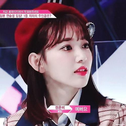 你是明星网红,网红明星的璀璨人生