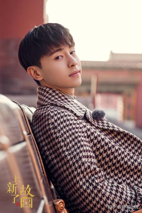 明星网红落宫,明星网红的宫廷逆袭之路