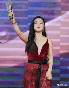 明星网红来临汾,魅力四溢引全民狂欢！”