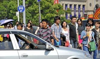 开车遇到明星网红,行车瞬间变身粉丝狂欢现场