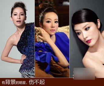 明星网红素材群,网红明星素材群揭秘