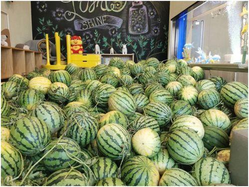 今日吃瓜91吃的朝阳群,今日吃瓜91揭秘神秘社交圈