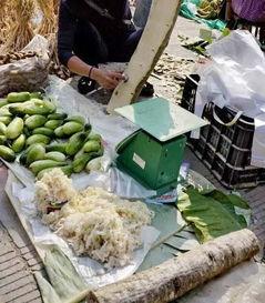 热门吃瓜云南垃圾堆,揭秘热门吃瓜背后的真相与反思