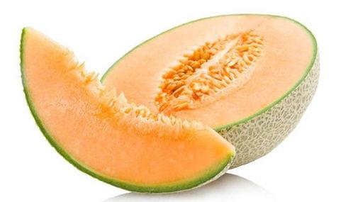 什么鱼吃黑蜜瓜好,哪些鱼儿钟爱这一美味