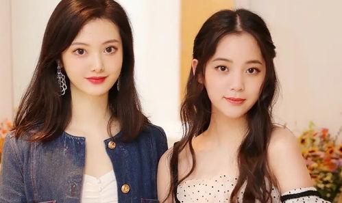 全国明星网红照片,全国明星网红照片集锦解析”