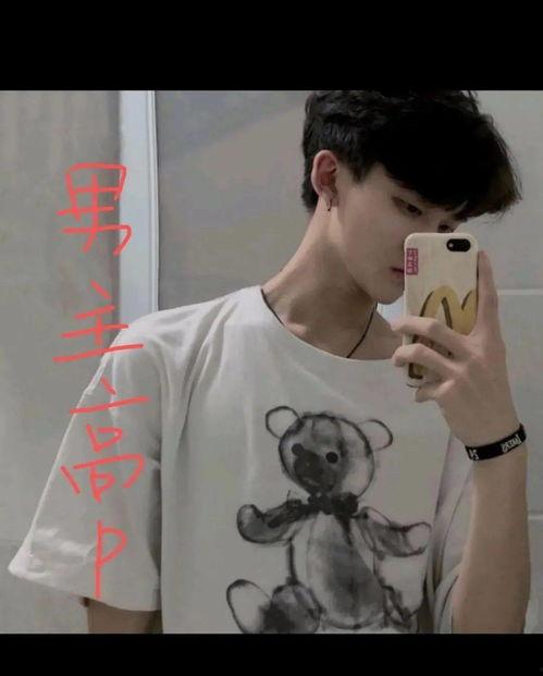 对象是明星网红,揭秘幕后故事与粉丝互动