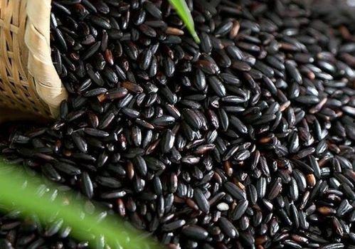 怀孕梦见自己吃黑米瓜,黑米瓜的神秘寓意