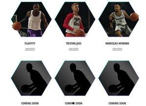 挑战全明星网红,揭秘网红背后的真实故事与成长历程