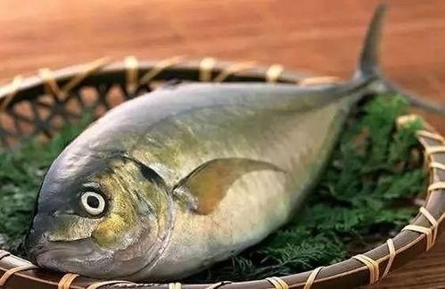 什么鱼吃黑蜜瓜最多,揭秘哪种鱼最钟爱