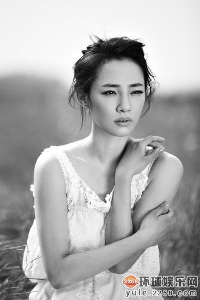 明星网红的名字,揭秘明星网红背后的故事