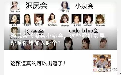 今日吃瓜往期回顾,回顾往期精彩瞬间，重温娱乐圈风云变幻