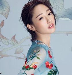 体验女明星网红