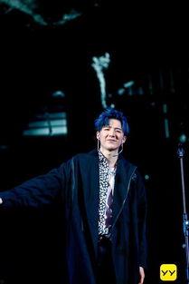 丹东来明星网红,网络影响力崛起记